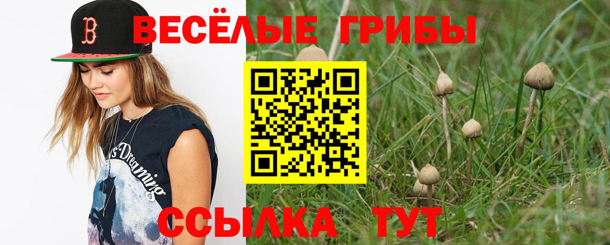 Галлюциногенные грибы Magic Shrooms Верхняя Салда