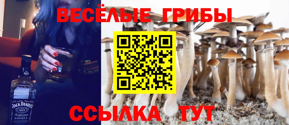 закладки  Галлюциногенные грибы Cubensis  Псилоцибиновые грибы MAGIC MUSHROOMS  Вход с VPN  Верхняя Салда 